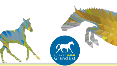 
                Caval'Est
                