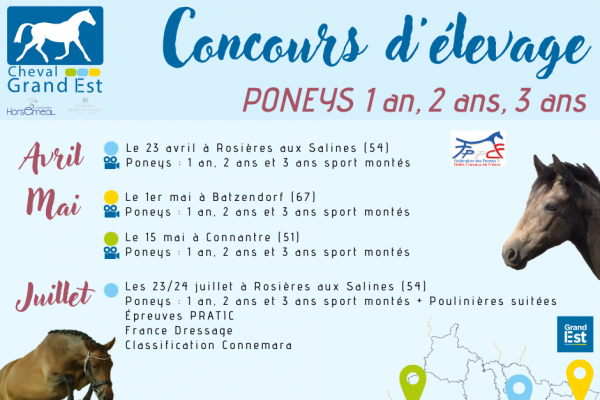 Calendrier Poneys 1 an, 2 ans & 3 ans