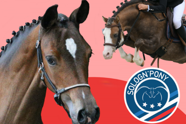 Retour sur le Sologn Pony 2022