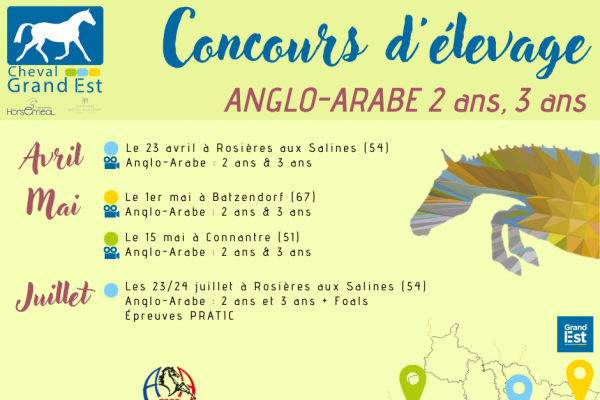 Calendrier Anglo-Arabe 2 ans & 3 ans