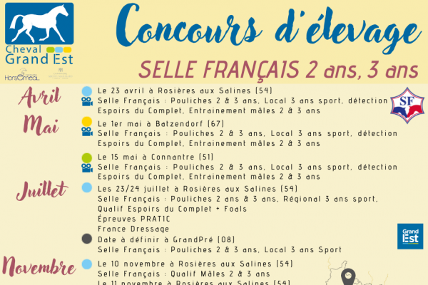 Calendrier Selle Français 2 ans & 3 ans
