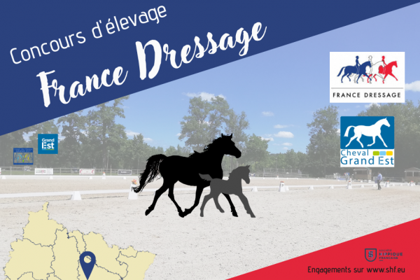Concours France Dressage