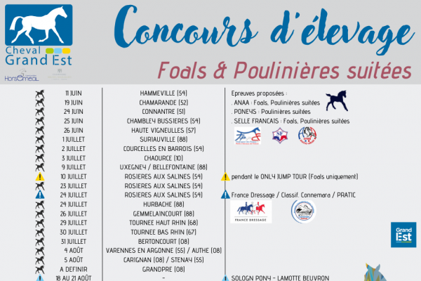Calendrier Foals